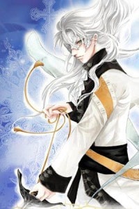 无敌大盗树